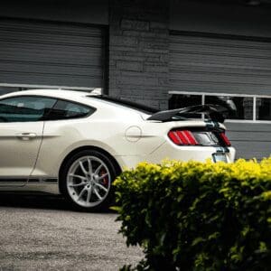 ceramic-coating-for-cars-near-me-33714-ceramic-pro-tampa-bay-stunzeed-shelby-gt350r-heritage-edition-10